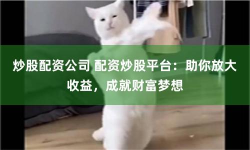 炒股配资公司 配资炒股平台：助你放大收益，成就财富梦想