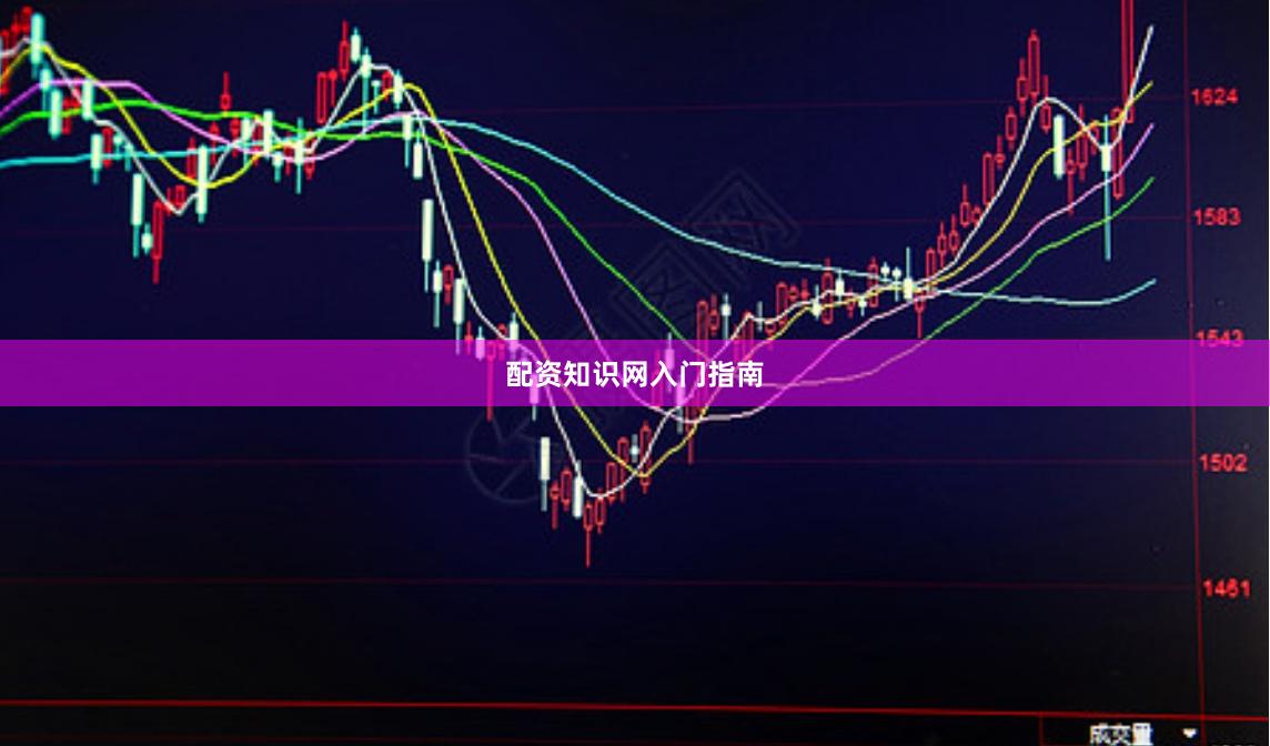 配资知识网入门指南